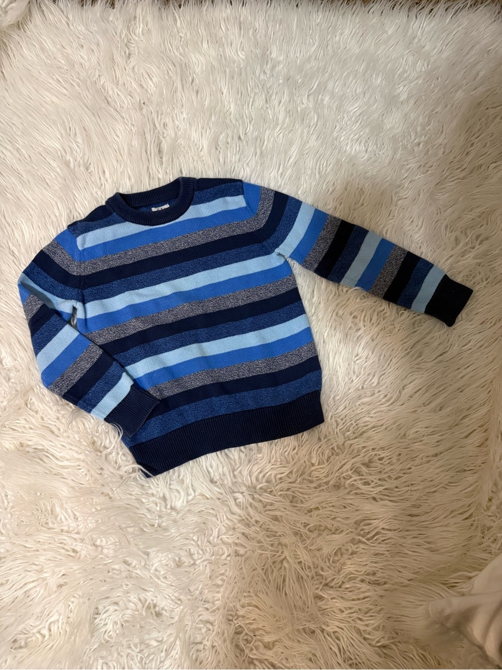 Striped Crewneck Sweater in Blue
